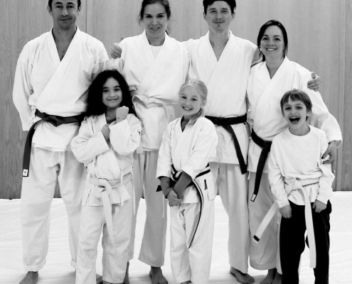 kids and family karate photo