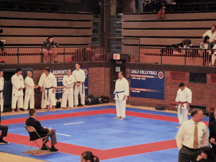 Karate championships