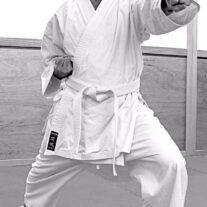 Best Self-Defense Moves – Japan Karate Association Chicago Sugiyama Dojo