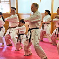 Budo Karate House – Japan Karate Association Chicago Sugiyama Dojo
