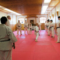 Is Karate an Olympic Sport? – Japan Karate Association Chicago Sugiyama Dojo