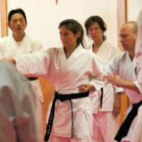 Sport Karate vs Traditional Karate – Japan Karate Association Chicago Sugiyama Dojo
