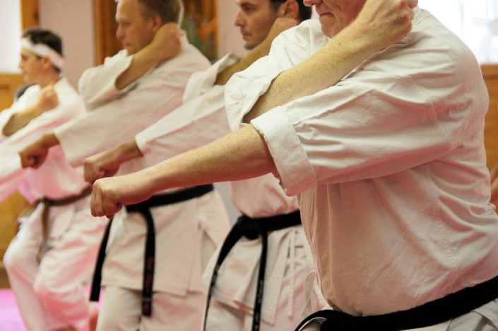 sport karate academy 