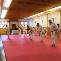Sport Karate Academy – Japan Karate Association Chicago Sugiyama Dojo