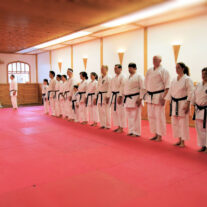 Sport Karate – Japan Karate Association Chicago Sugiyama Dojo