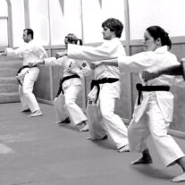 Women’s Self-Defense Classes in Chicago – Japan Karate Association Chicago Sugiyama Dojo