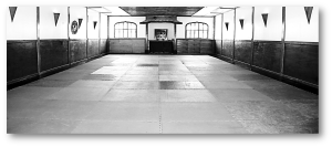 Japan Karate Association Chicago Sugiyama Dojo - Traditional Japanese Shotokan Karate