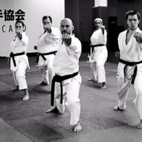 Self-Defense Classes – Japan Karate Association Chicago Sugiyama Dojo
