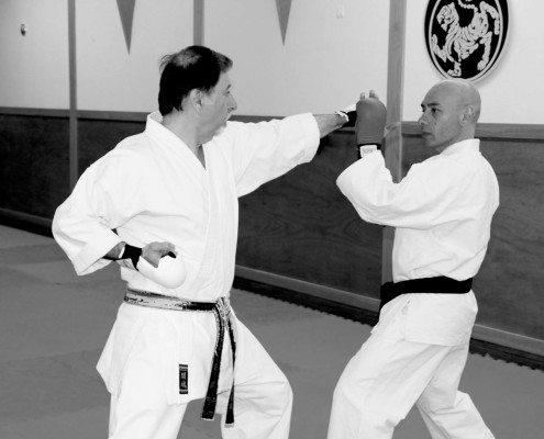 karate training photo 2013