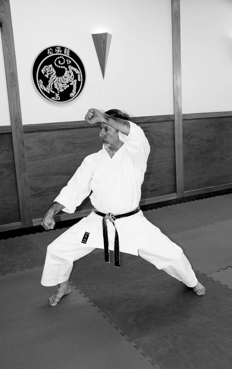 Sensei Michael Arab - Japan Karate Association Chicago Sugiyama Dojo