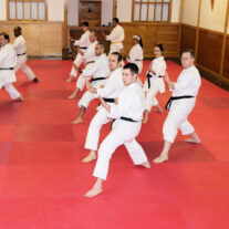 Karate Dojo Chicago – Japan Karate Association Chicago Sugiyama Dojo