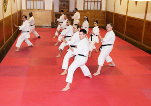 Karate Dojo Chicago - Japan Karate Association Chicago Sugiyama Dojo