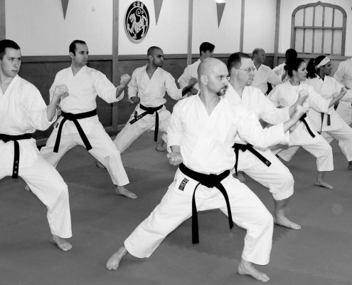 black belt karate training