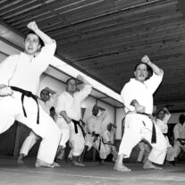 Dojo Chicago – Japan Karate Association Chicago Sugiyama Dojo
