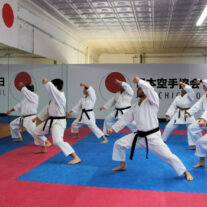 Kumite Champion – Japan Karate Association Chicago Sugiyama Dojo