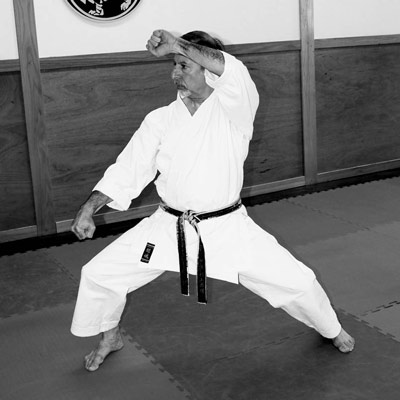 dojo karate academy