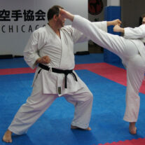 Japanese Budo Karate School – Japan Karate Association Chicago Sugiyama Dojo