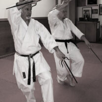 Retro Sport Karate – Japan Karate Association Chicago Sugiyama Dojo