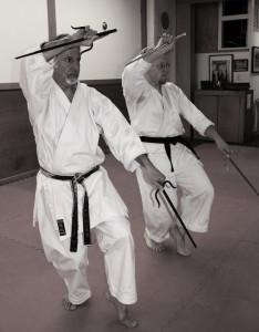 Retro Sport Karate - Japan Karate Association Chicago Sugiyama Dojo