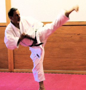 Karate Moves - Japan Karate Association Chicago Sugiyama Dojo