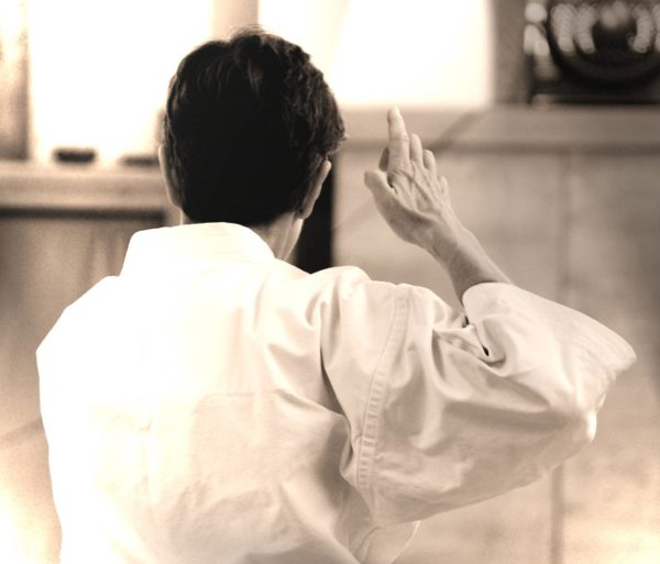 Japan Karate Association Chicago Sugiyama Dojo - Traditional Japanese Shotokan Karate