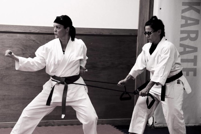japanese budo karate school