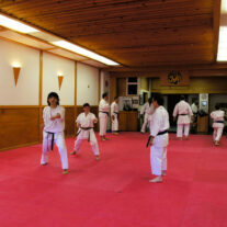 Chicago Martial Arts School – Japan Karate Association Chicago Sugiyama Dojo