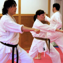 Shotokan Karate Chicago – Japan Karate Association Chicago Sugiyama Dojo