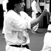Chicago Karate – Japan Karate Association Chicago Sugiyama Dojo