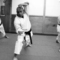 Karate in Action – Japan Karate Association Chicago Sugiyama Dojo